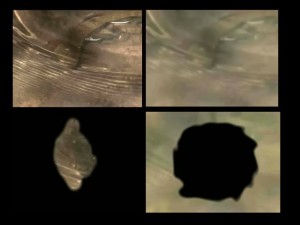 blindness-quad-H264-poster