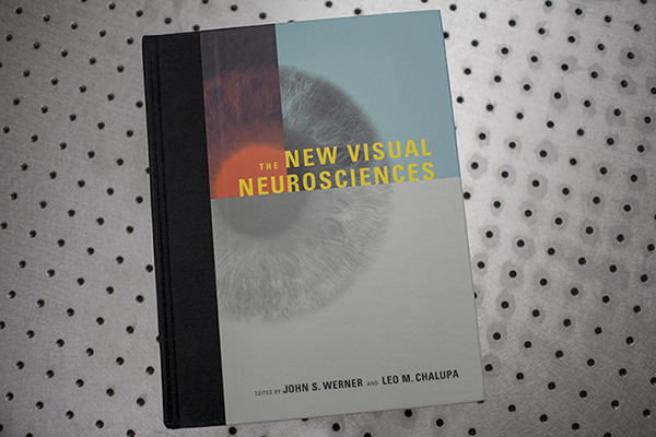 New-Visual-Neurosciences