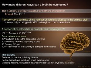 Connectomics-and-Eternity3.002