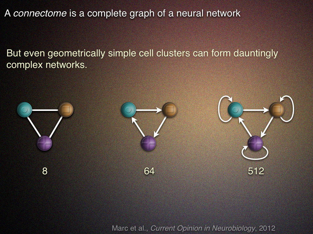 Connectomics Summary Gallery | BWJoneslab